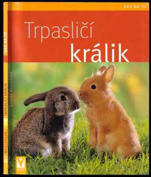 Trpasličí králik