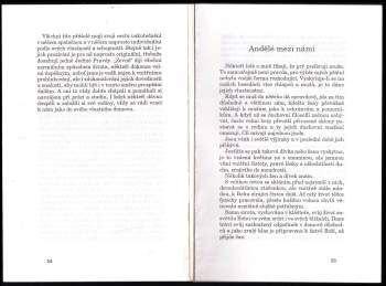 Míla Tomášová: Třpyt prázdna