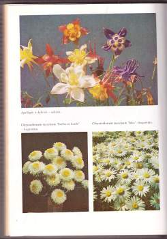 Vlastimil Vaněk: Trvalky v zahradě