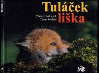 Tuláček liška