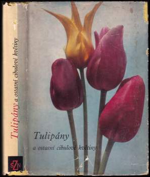 Tulipány a ostatní cibulové květiny