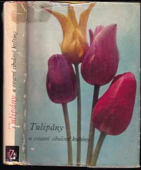 Tulipány a ostatní cibulové květiny