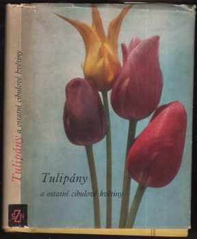 Vlastimil Vaněk: Tulipány a ostatní cibulové květiny