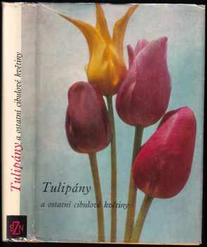 Vlastimil Vaněk: Tulipány a ostatní cibulové květiny
