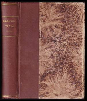 Bernhard Kellermann: Tunel