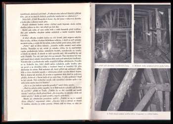 Jiří Streit: Tunely a lidé v nich