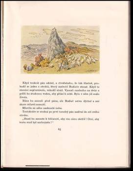 František Volf: Turecká vojna