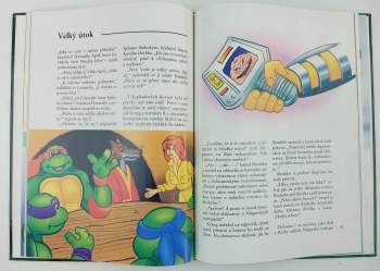 Maureen Spurgeon: Turtles