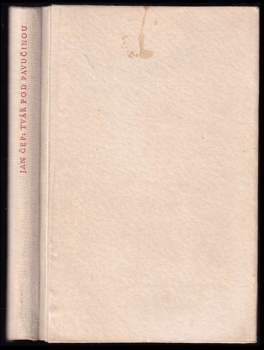 Tvář pod pavučinou