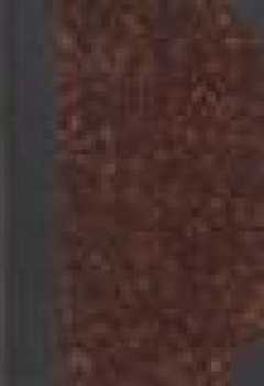 Jules Verne: Tváří v tvář praporu vlasti