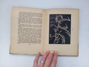František Kupka: Tvoření v umění výtvarném