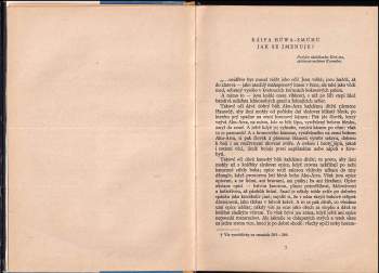 Jaroslav Raimund Vávra: Tvrdá pěst Tuaregů