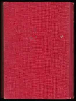 Jules Verne: Tvrdohlavý Turek