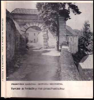 Tvrze a hrádky na Prachaticku