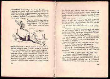 Vítězslav Šmejc: Tygr pana Boška