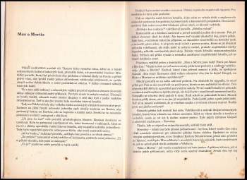 Rudolf Nowotny: Tygr z Volchovstroje