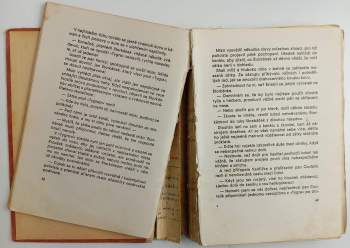 Vítězslav Šmejc: Tygr za polárním kruhem