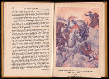 B. M Bower: Tygří oko