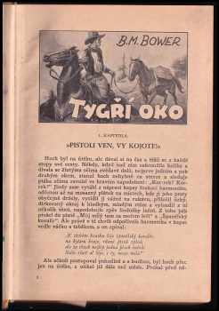 Emilio Salgari: Tygří oko + Černý Aeroplán + Malajský tygr
