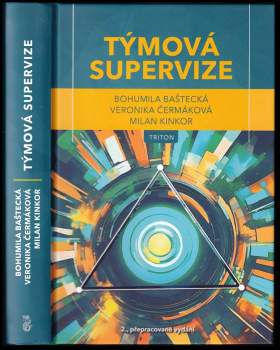 Týmová supervize