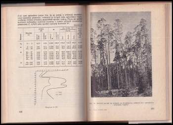Antonín Němec: Typy lesních půd