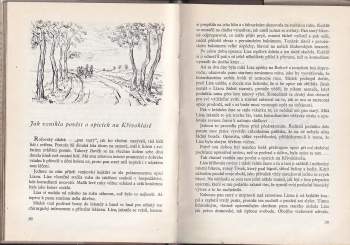 Antonín Šrámek: Tyras a jiné myslivecké příběhy