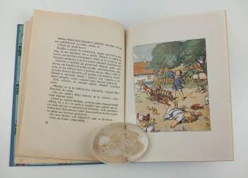 Antonie Fischerová: U babičky a u dědečka : Veselé příhody vnoučků.