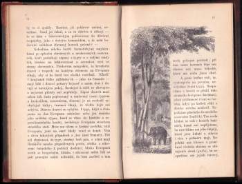 Pavel Durdík: U lidožroutů