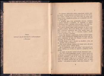 Vlasta Pittnerová: U Rochlenů