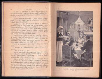 Émile Zola: U rodinného krbu