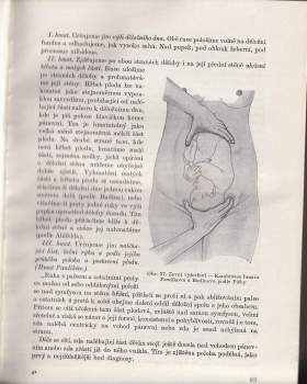 Jiří Trapl: Učebnice praktického porodnictví pro studující medicíny a lékaře