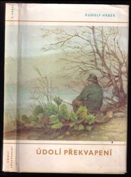 Údolí překvapení