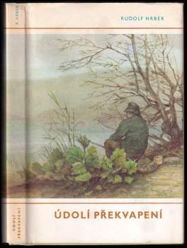 Údolí překvapení