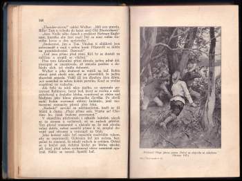 Karl May: Údolí smrti - román z cyklu Třemi díly světa - díl 4.