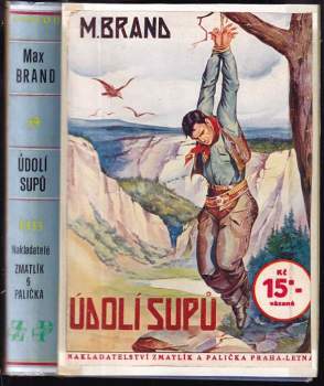 Údolí supů