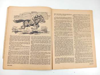 W. Reinhard: Údolí zlaté vody, Rozruch 10 (167) - ročník IV.