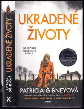 Patricia Gibney: Ukradené životy