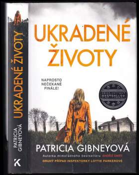 Patricia Gibney: Ukradené životy