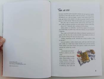 Valach Pavel: Ukradený poklad