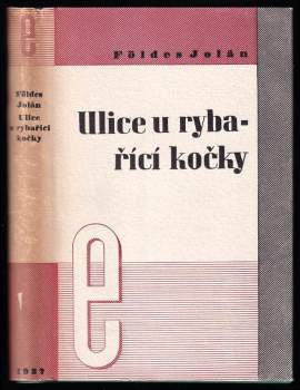 Ulice u rybařící kočky