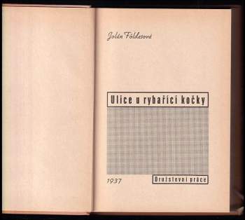 Jolán Földes: Ulice u rybařící kočky