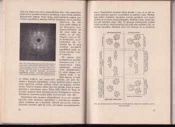 Arthur Springer: Umělý kaučuk