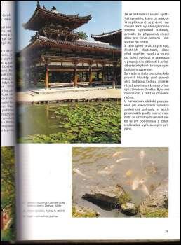 Věna Hrdličková: Umění japonských zahrad