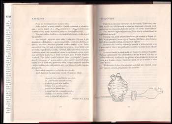 František Rudolf Čebiš: Umění koštérské
