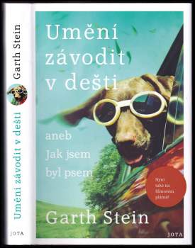 Umění závodit v dešti, aneb, Jak jsem byl psem