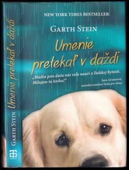 Umenie pretekať v daždi