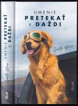 Umenie pretekať v daždi