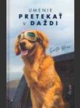 Garth Stein: Umenie pretekať v daždi