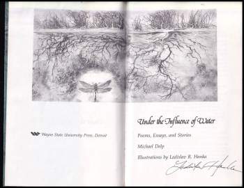 Michael Delp: Under the Influence of Water