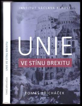 Unie ve stínu brexitu